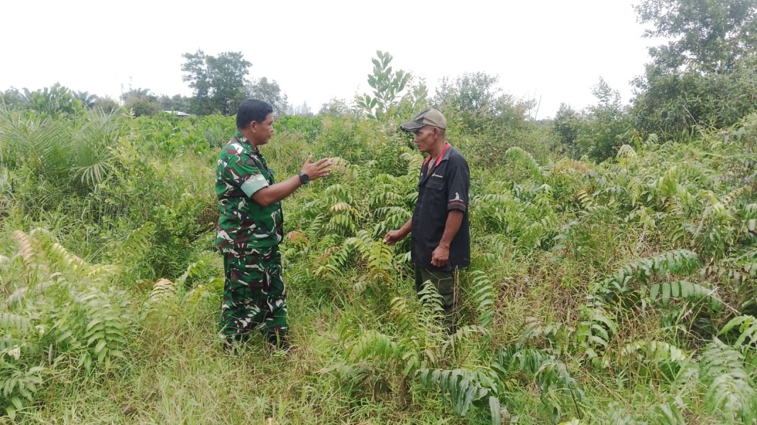 Babinsa Koramil 01/Dumai Ingatkan Warga Rimba Sekampung Bahaya Membakar Lahan
