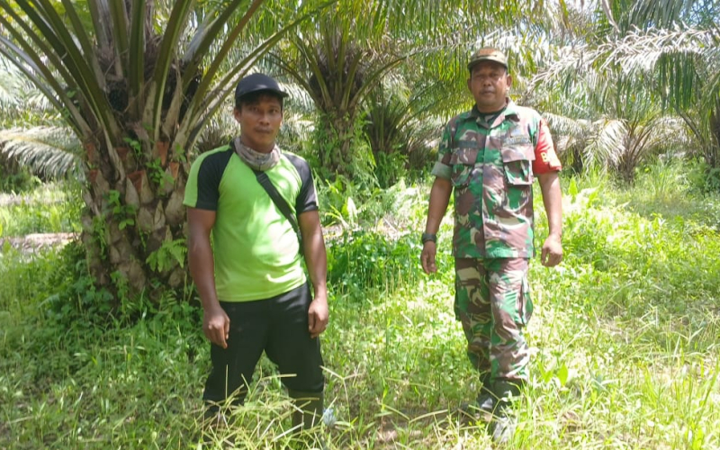 Patroli Babinsa Pelintung, Wujud Nyata Kepedulian Terhadap Lingkungan Sekitar