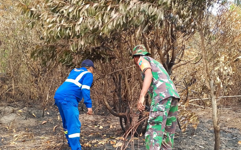 Patroli Intensif Babinsa Bukit Batrem, Pastikan Lahan Bekas Terbakar Aman