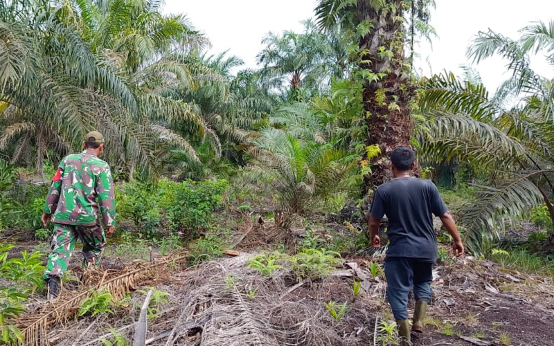 Cegah Karhutla Sejak Dini, Babinsa Mundam Gencarkan Edukasi kepada Masyarakat