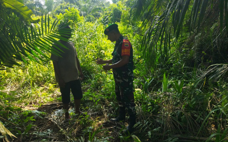 Karya Nyata, Bentuk Dukungan Babinsa Koramil 01 kepada Petani