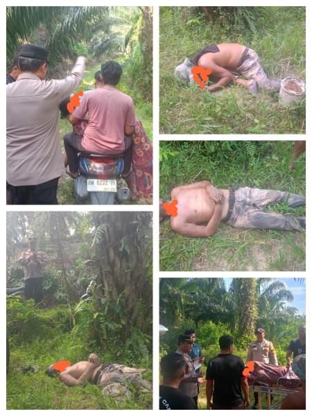 Pria 57 Tahun Ditemukan Meninggal di Kebun Sawit Desa Genduang, Polisi Lakukan Evakuasi