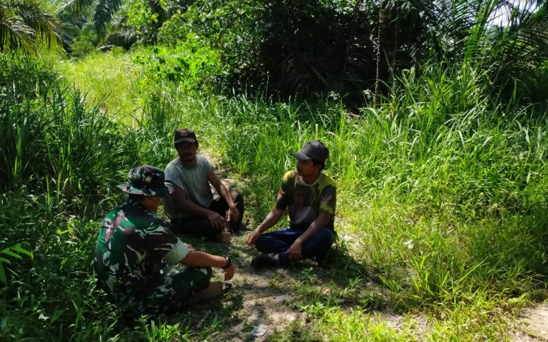 Babinsa Cegah Karhutla di Wilayah Bangsal Aceh