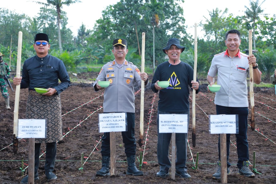 Lahan 3 Hektar Ditanami Jagung! Kapolres Inhil Punya Target Besar