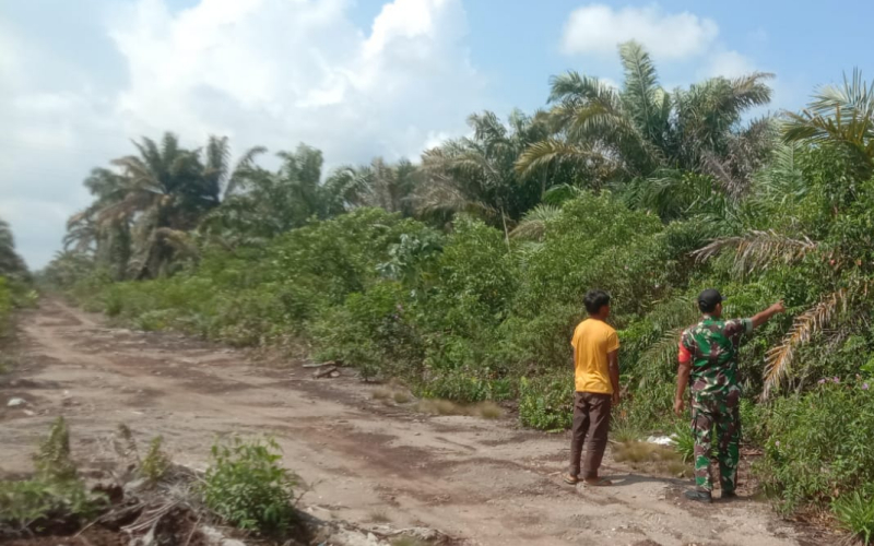 Babinsa Mundam Ingatkan Warga Bahaya dan Sanksi Pembakaran Lahan