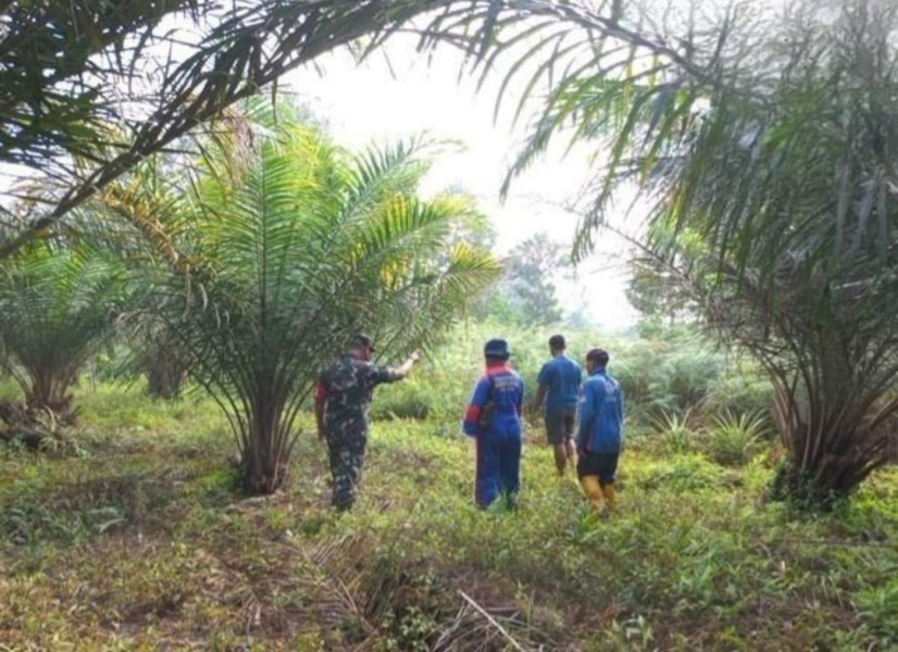 Babinsa Koramil 04/Perawang Sertu Sarju Gelar Patroli Karhutla di Kampung Tualang, Tidak Ditemukan Titik Api