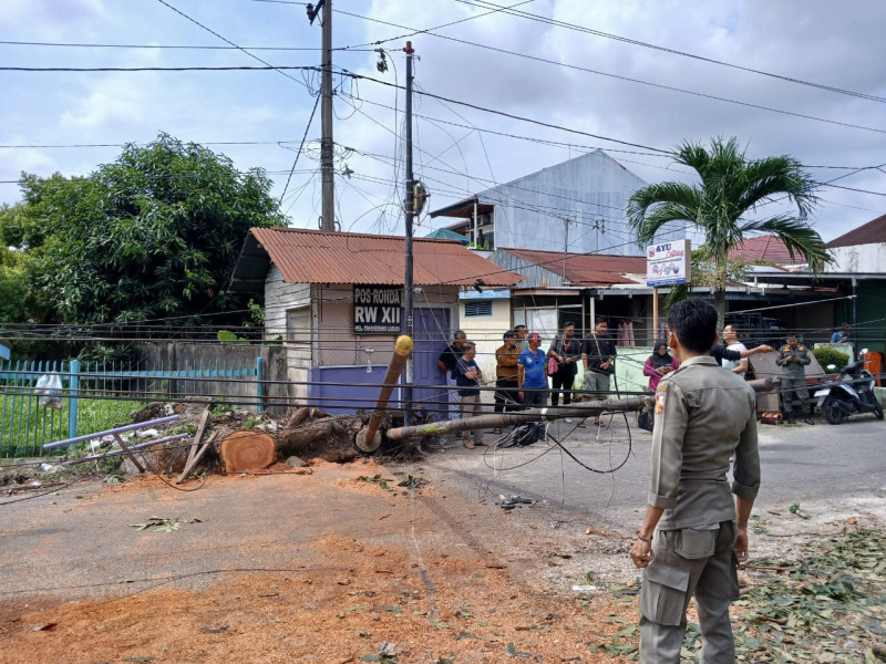 Pasca Tumbangnya Tiang Fiber Optik, Besok Pemko Pekanbaru Panggil Operator Telekomunikasi