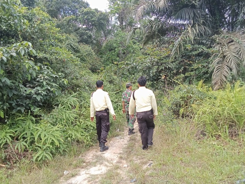 Babinsa Koramil 04/Perawang Sertu L Syahdanur Gelar Patroli Karhutla di Kampung Pangkalan Pisang