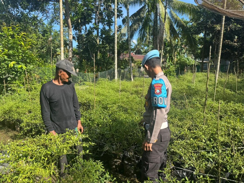 Polsek KSKP Tembilahan Ajak Warga Tanam Cabai Rawit, Dukung Ketahanan Pangan Nasional
