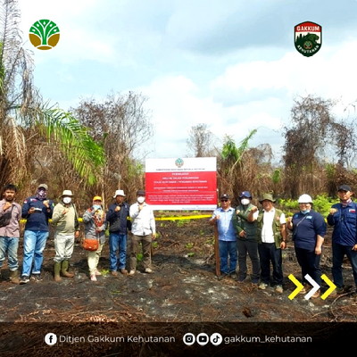 Tegas! Ditjen Gakkum Kementerian Kehutanan RI Segel 3 Perusahaan di Riau