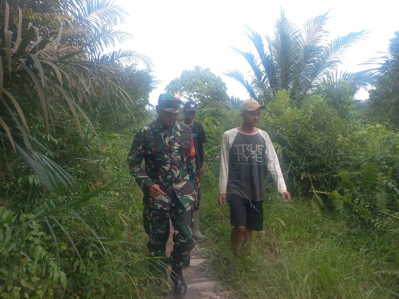 Babinsa Sertu Sarju Laksanakan Patroli Karhutla di Kampung Tualang, Situasi Aman dan Nihil Titik Api