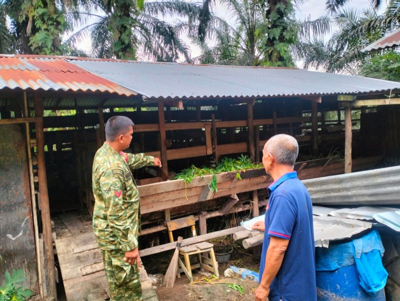 Babinsa Koramil 03/Minas Dampingi Sosialisasi dan Monitoring PMK di Minas Jaya
