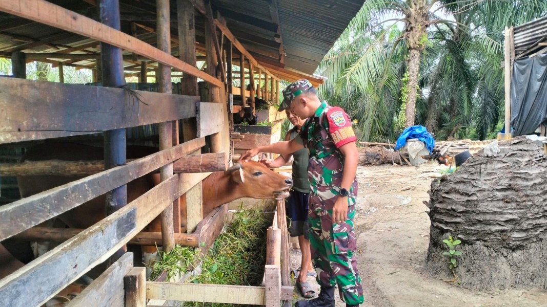 Babinsa Koramil 03/Minas Dampingi Sosialisasi dan Monitoring PMK di Minas Barat