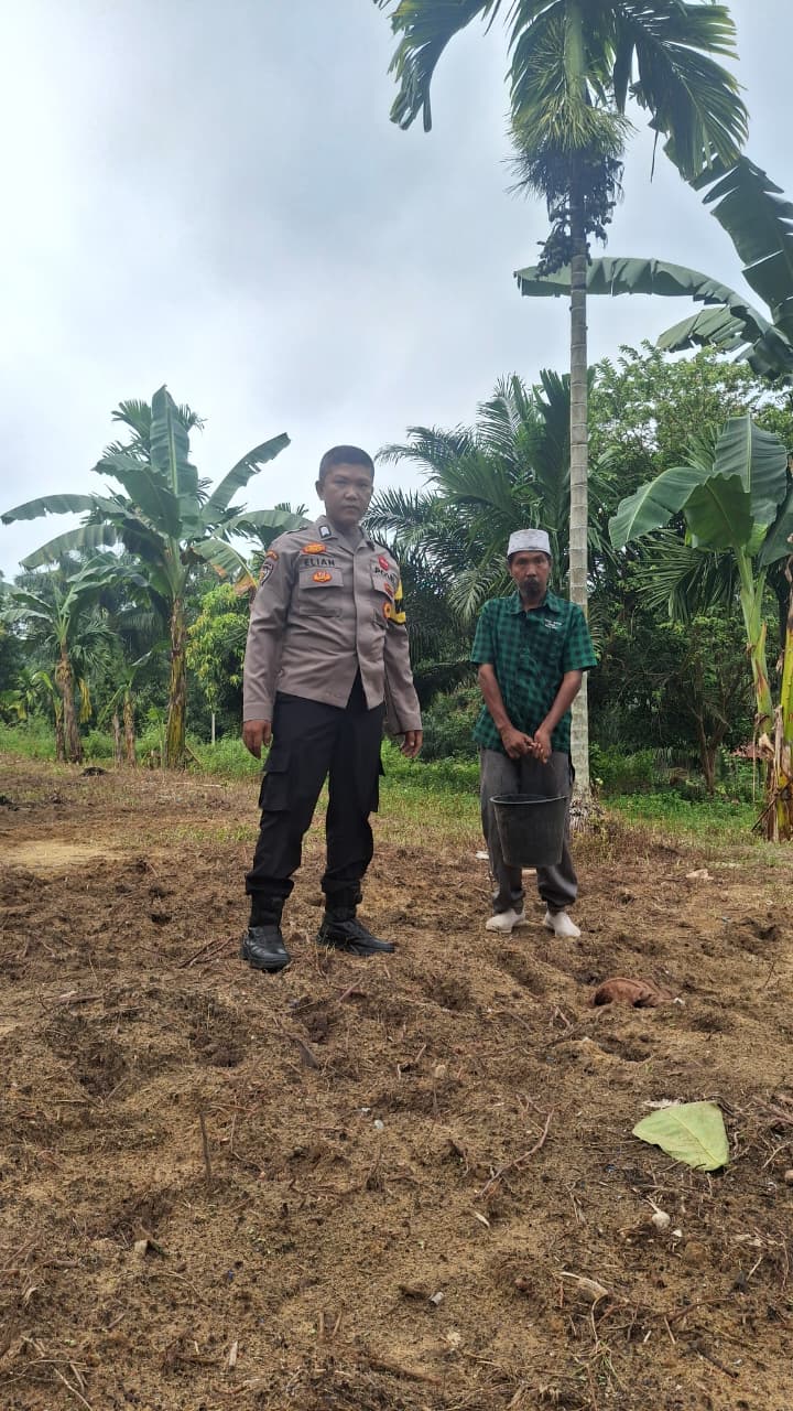 Dukung Ketahanan Pangan Nasional, Polsek Minas Siapkan Lahan Budidaya Jagung Pipil di Minas Jaya