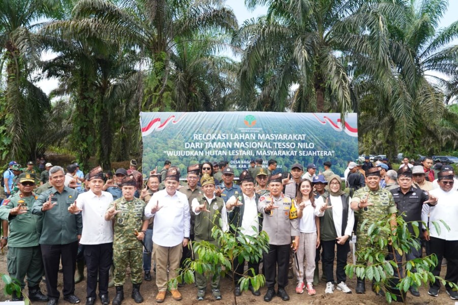 Disaksikan Menhut-Kapolda Riau, Penumbangan Sawit Awali Pemulihan Tesso Nilo