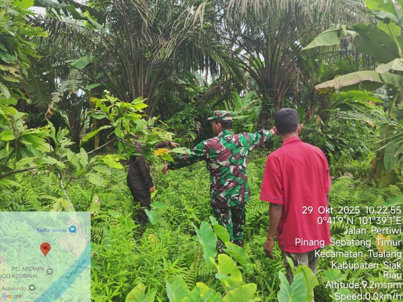 Babinsa Serka Alexander Sigalingging Gelar Patroli Antisipasi Karhutla di Pinang Sebatang Timur