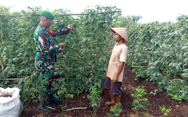 Babinsa Serda Priyo Dampingi Warga Bertani Tanpa Bakar Lahan di Bagan Keladi