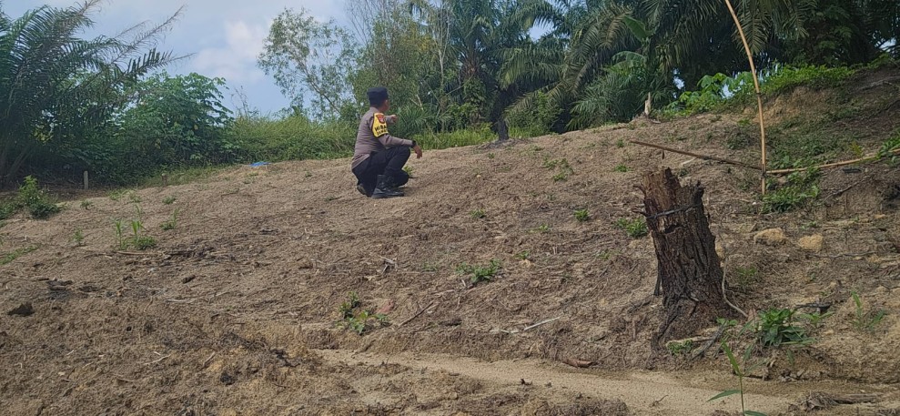 Polsek Minas Dampingi Persiapan Lahan Jagung Kuartal II, Kelompok Tani Minas Barat Bersihkan Lahan 0,5 Hektare