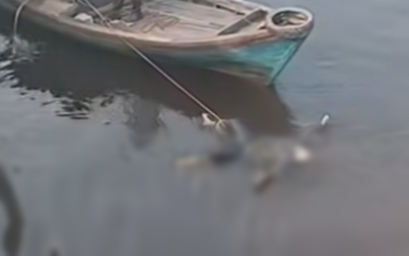 Geger Pesisir Dumai, Mayat Pria Mengapung Diduga Nelayan Asal Rupat