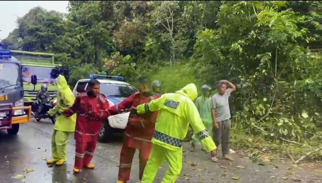 Gerak Cepat, Sat Samapta Polres Kampar Evakuasi Pohon Tumbang di Jalan Petapahan-Bangkinang