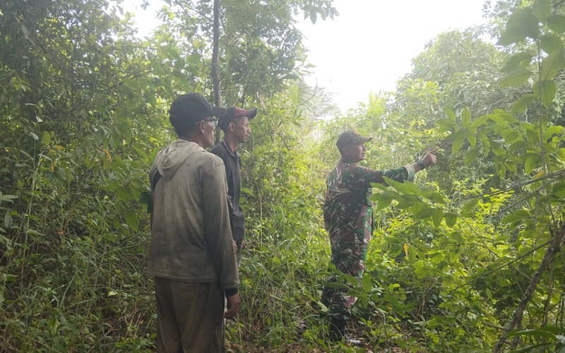 Cegah Karhutla, Sertu Jumat Desmanto Sosialisasi dan Patroli di Bagan Besar Timur