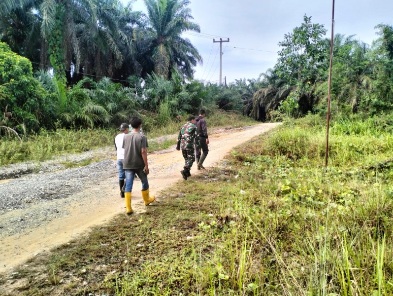 Babinsa Koptu Salomo Sembiring Laksanakan Patroli Karhutla di Minas Timur, Titik Api Nihil