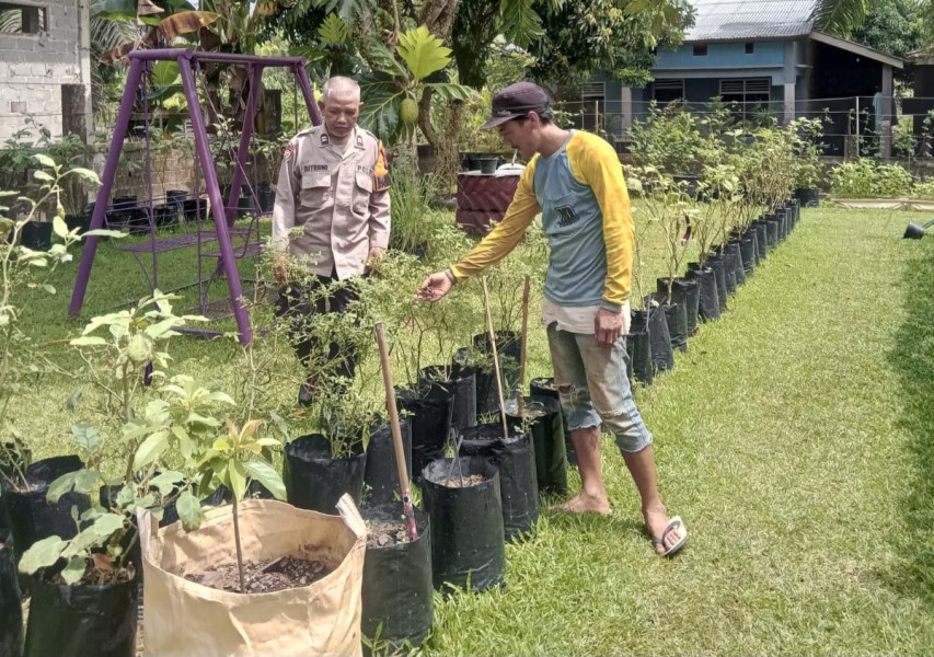 Dukung Ketahanan Pangan Nasional, Bhabinkamtibmas Polsek Pasir Penyu Ajak Warga Manfaatkan Pekarangan untuk Cabai dan Terong