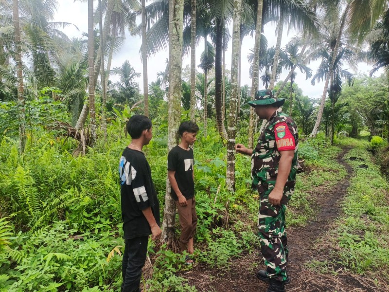 Patroli Tapal Batas, Babinsa Kateman Pastikan Wilayah Aman dari Gangguan dan Karhutla