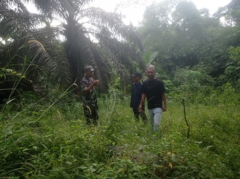 Babinsa Koramil 04/Perawang Koptu L. Sigalingging Giat Penanggulangan Karhutla Dengan Patroli di kelurahan Perawang