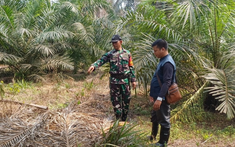 Babinsa Gurun Panjang Gencarkan Sosialisasi Pencegahan Karhutla di Simpang Sakai