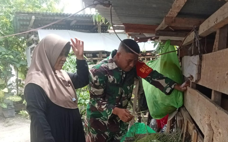 Berikut Langkah Antisipasi Babinsa Rimba Sekampung Dalam Pencegahan PMK