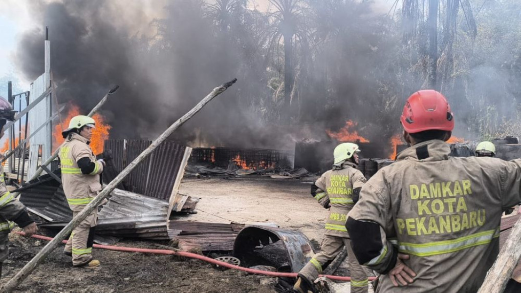 Ledakan Keras! Gudang BBM Ilegal Terbakar di Marpoyan Damai, Kambing dan Kebun Warga Kena Imbas