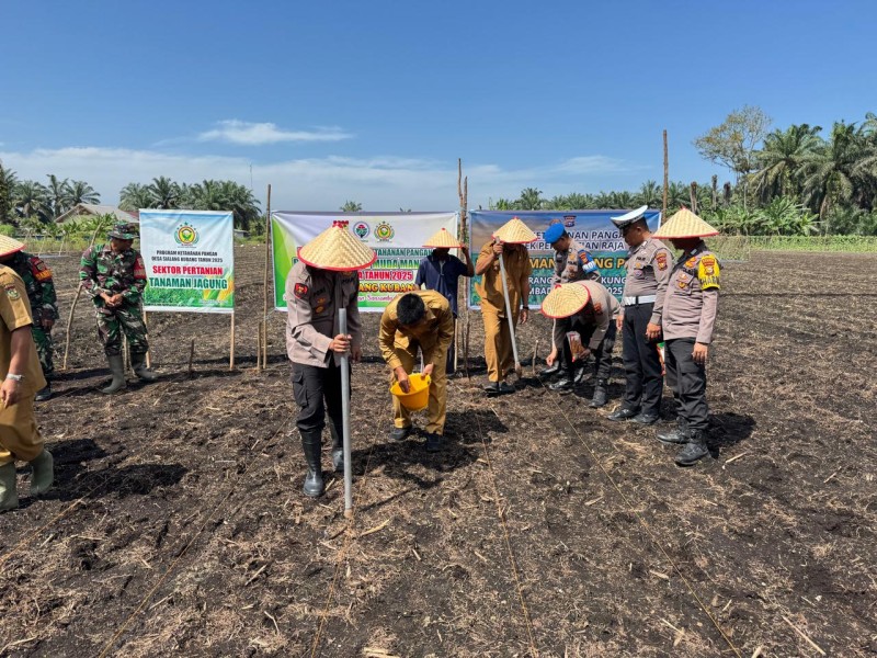 Kapolsek Perhentian Raja Hadir di Penanaman Jagung:  Dukung Swasembada Pangan Nasional