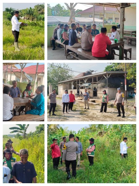 Polri Kawal Ketahanan Pangan, 20 Hektare Lahan Jagung di Pangkalan Kuras Siap Jadi Lokasi Tanam  Baru