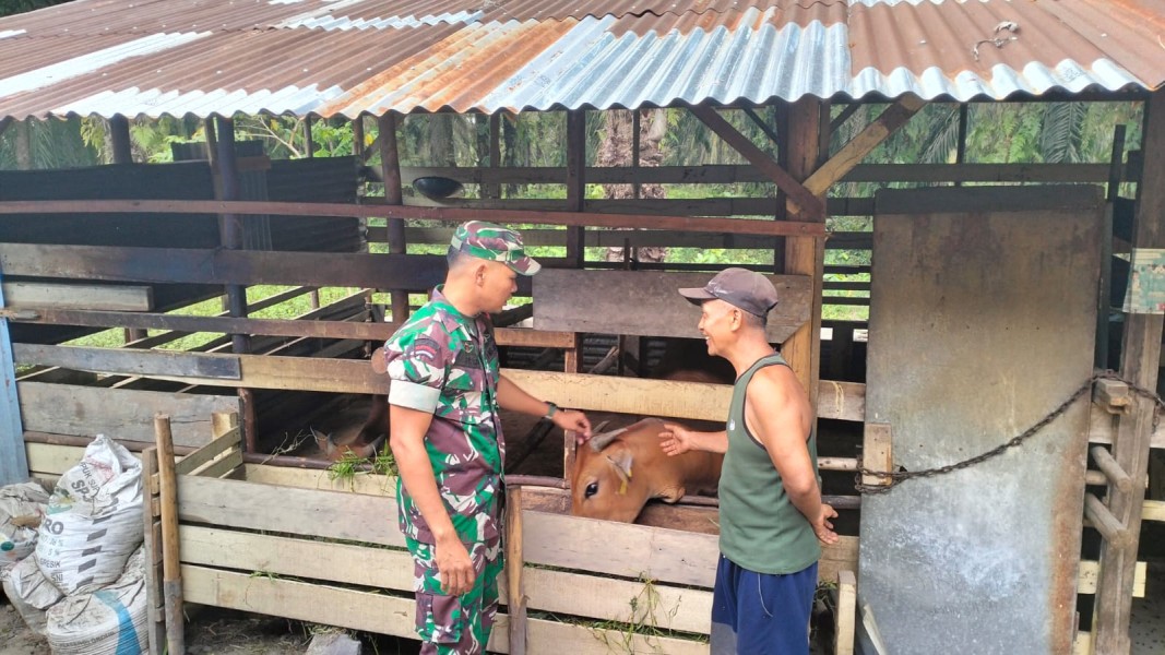 Babinsa Serda Haris Holmes Pasaribu Lakukan Pendataan dan Pemantauan PMK di Muara Bungkal