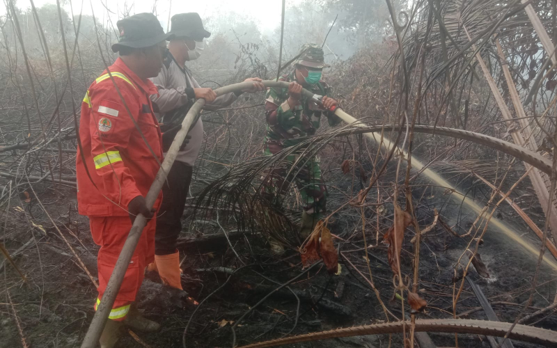 Pendinginan Karhutla di Teluk Makmur Capai 13 Hektare, Dandim Dumai: Sinergi Tim Terus Ditingkatkan