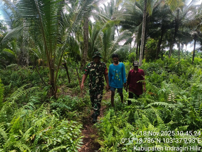 Babinsa Koramil 06/Kateman Tingkatkan Patroli Tapal Batas Cegah Karhutla di Wilayah Binaan