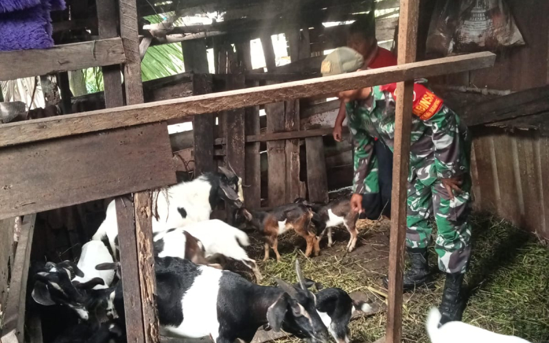 Babinsa Rimba Sekampung Sosialisasi Terhadap Sektor Peternakan, ini yang Dibahas