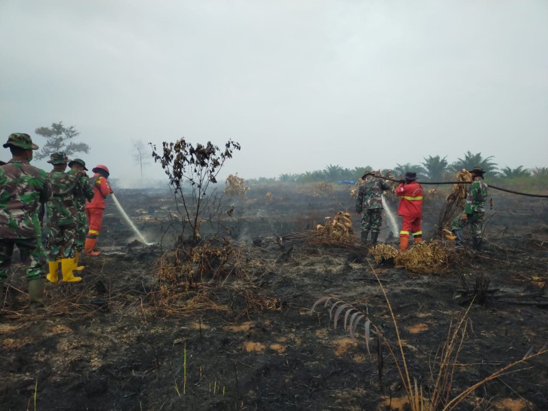 Tim Gabungan Berjibaku Padamkan Karhutla di Bangsal Aceh, Setengah Hektare Berhasil Dipadamkan