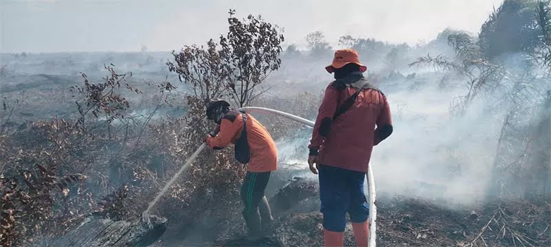 Gawat! 586 Titik Panas Terpantau di Riau, Tertinggi di Indonesia, 354 Hot Spot Ada di Rokan Hilir