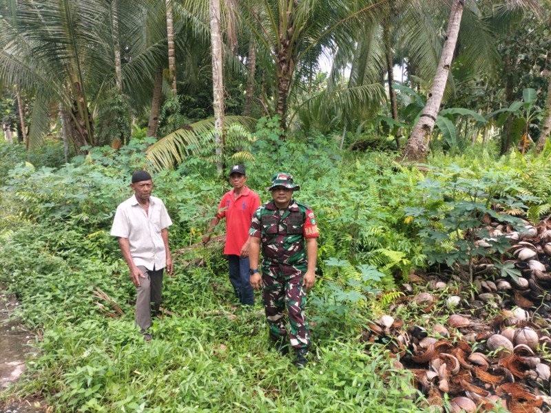 Pastikan Kondisi Aman dari Karhutla, Babinsa Koramil 06/Kateman Gelar Patroli Tapal Batas di Desa Air Tawar