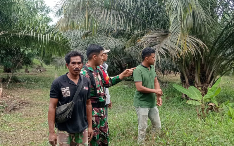 Komsos dan Edukasi Stop Bakar Lahan, Babinsa Kodim Dumai Turun Langsung ke Warga