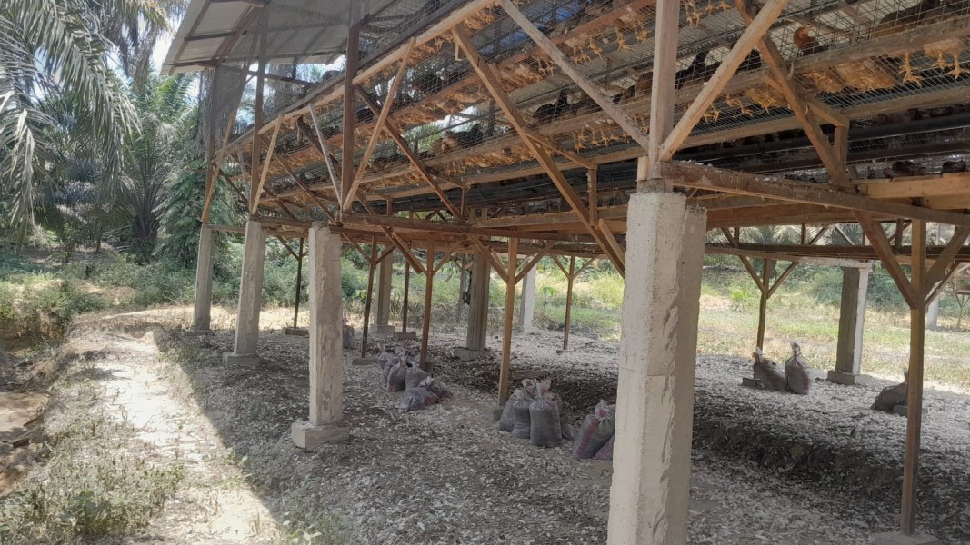 Klarifikasi BUMDesma di Media Lain Dinilai Belum Jawab Substansi, Catatanriau.com Tegaskan Prinsip Hak Jawab dan Keberimbangan