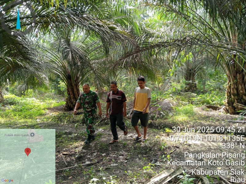 Babinsa Koramil 04/Perawang Laksanakan Patroli Karhutla di Empang Pandan, Tidak Ditemukan Titik Api