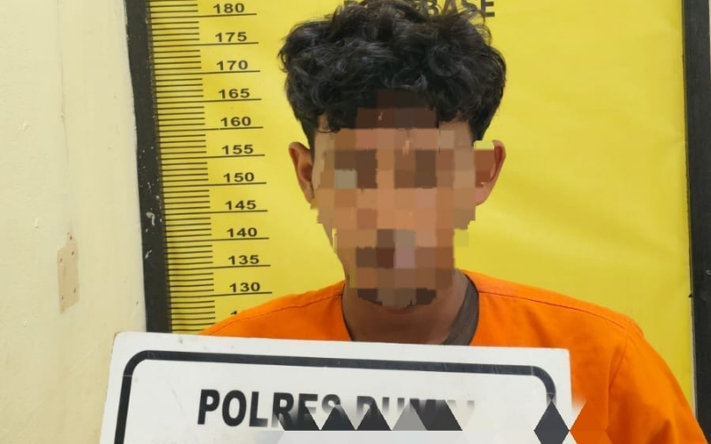 Dodos 400 Kg Sawit, Pelaku Pencurian Ditangkap Polsek Sungai Sembilan