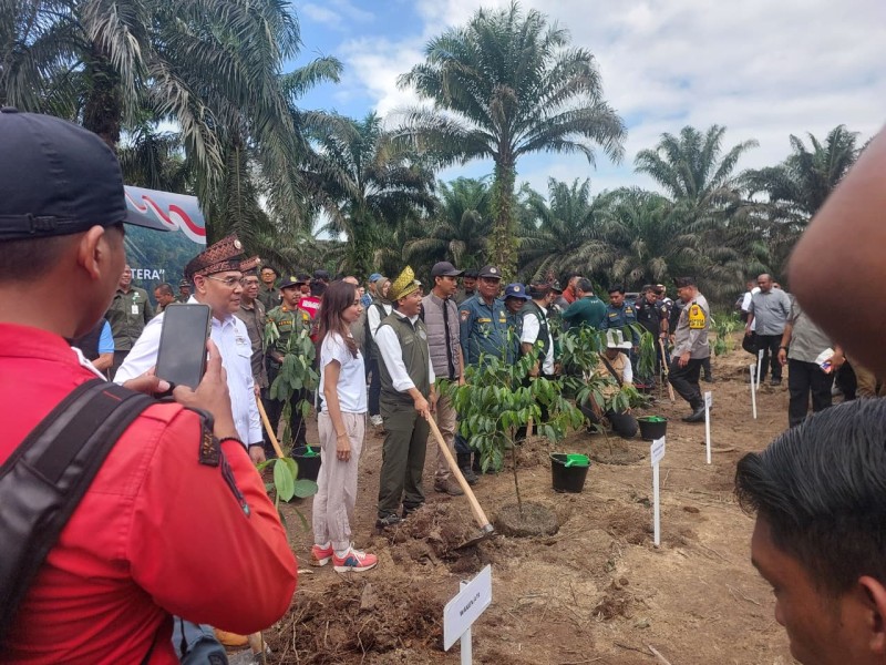 Relokasi TNTN, Hutan Lestari Masyarakat Sejahtera