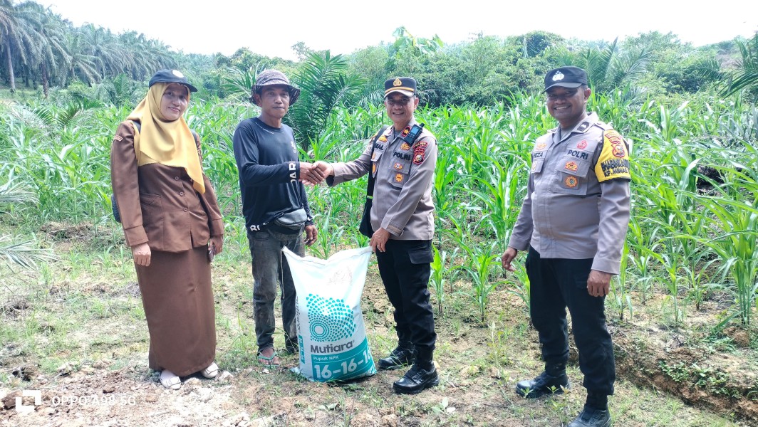 Sambangi Lahan Warga, Kapolsek Minas Pantau Langsung Perkembangan Program Ketahanan Pangan Dan Serahkan Bantuan Pupuk NPK