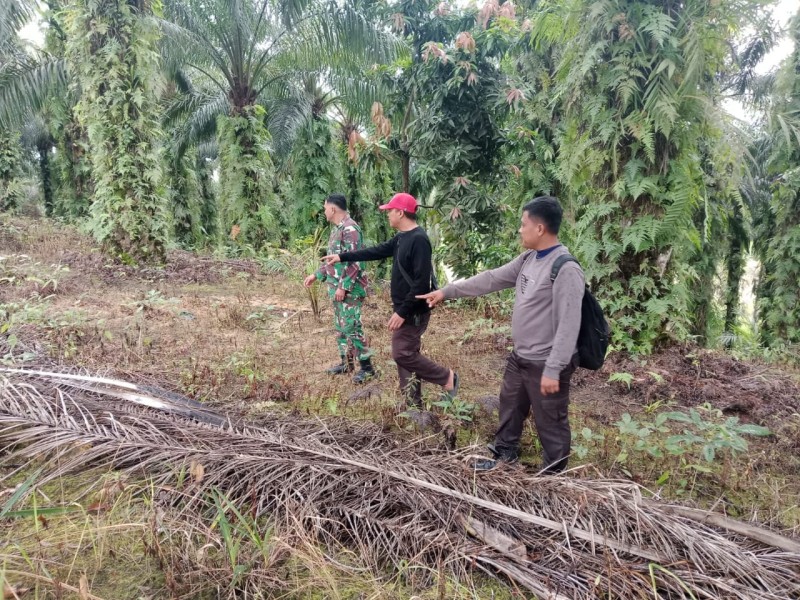Babinsa Koramil 03/Minas Laksanakan Patroli Karhutla di Sungai Mandau, Siak