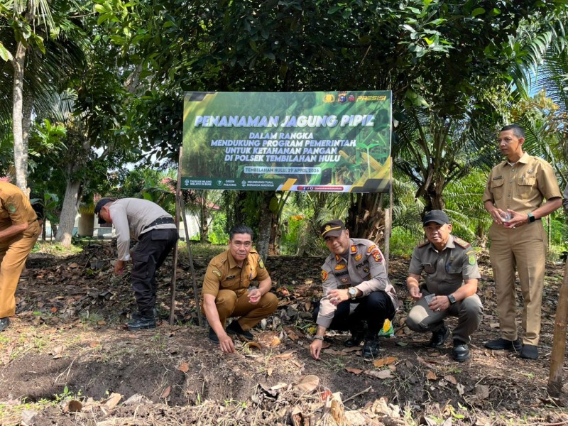 Sulap Lahan Tidur Jadi Produktif, Polsek Tembilahan Hulu Tanam Jagung untuk Ketahanan Pangan