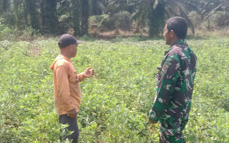 Cegah Karhutla, Babinsa Sungai Sembilan Intensifkan Patroli dan Sosialisasi